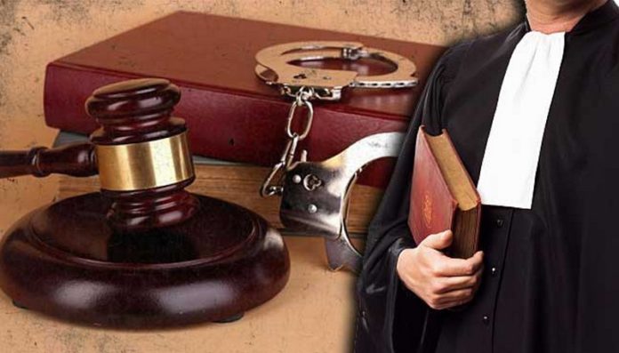 lawyer lawyer