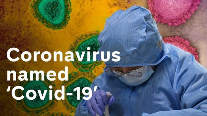 Coronavirus Coronavirus
