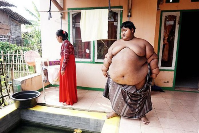 fat boy fat boy
