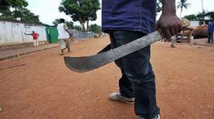 Land guards (Copy) Dealing with the Land guard menace