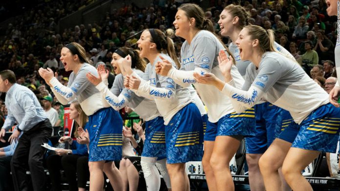 South Dakota State University's Jackrabbits South Dakota State University's Jackrabbits