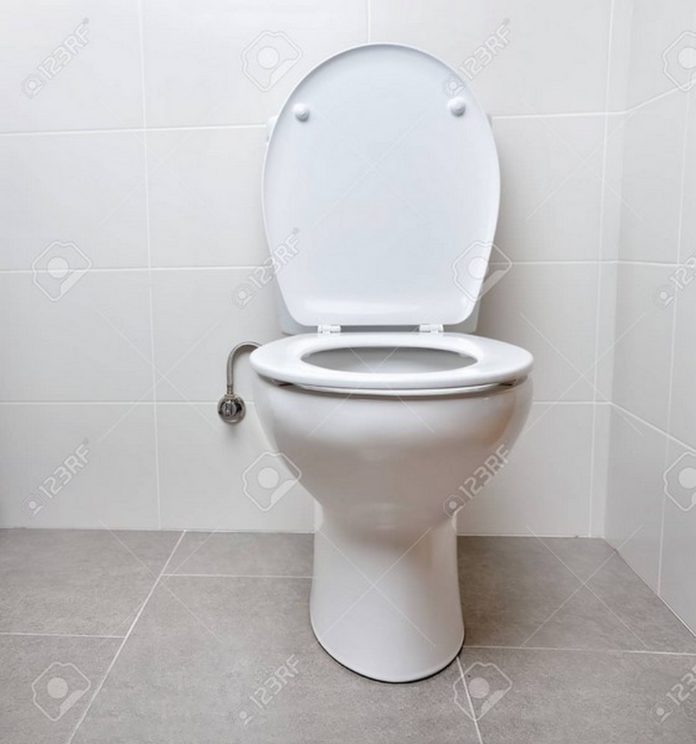 toilet bowl