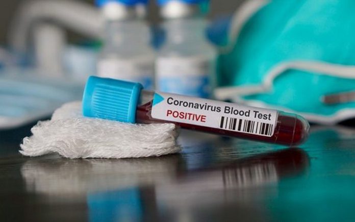 coronavirus coronavirus