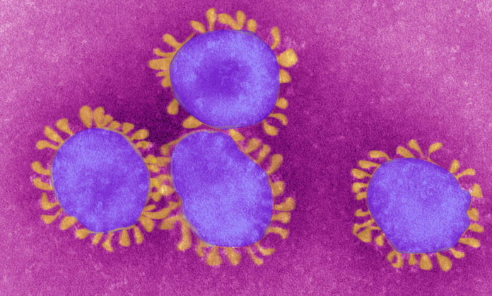 Coronavirus-19_1
