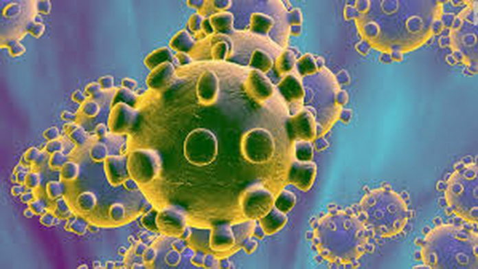 Coronavirus-19_4