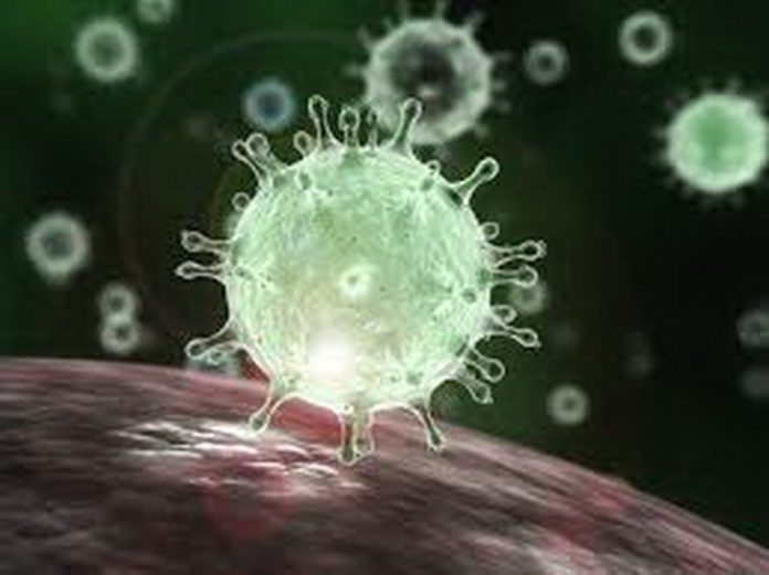 Coronavirus-19_5