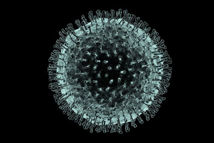 Coronavirus-19_6