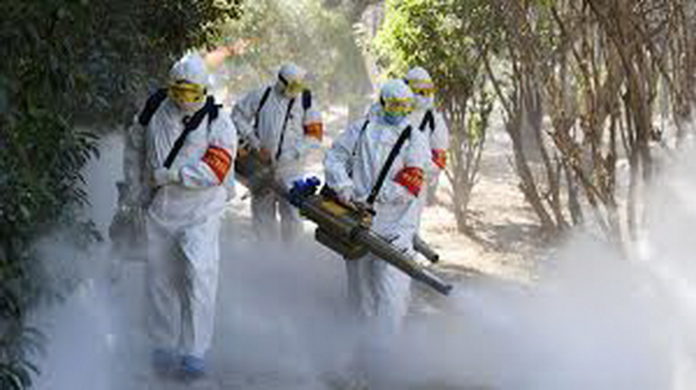 Coronavirus-19_7