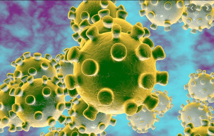Coronavirus