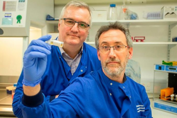 coronavirus doctors coronavirus doctors