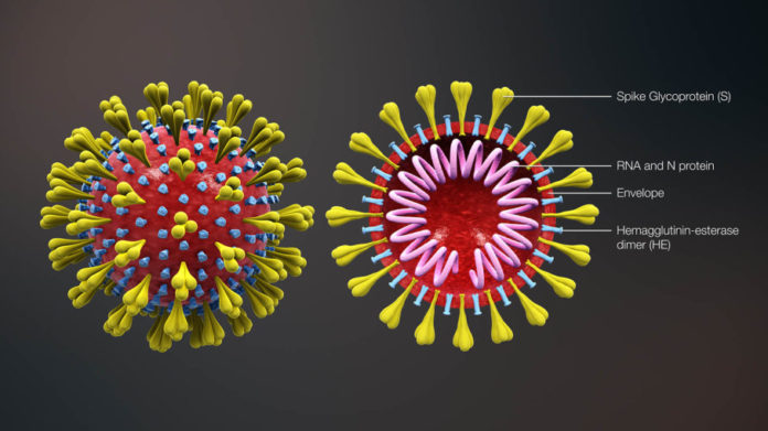 corona-virus-3D