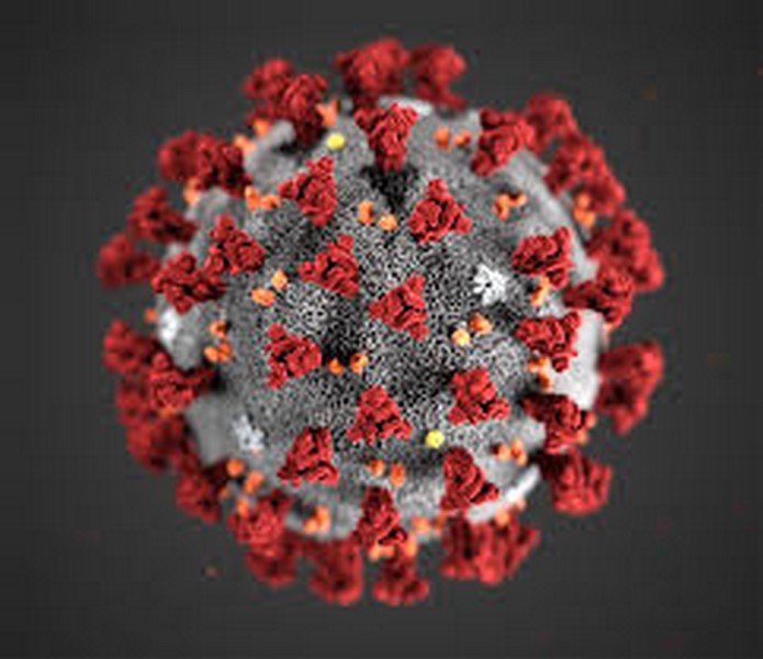 coronavirus coronavirus