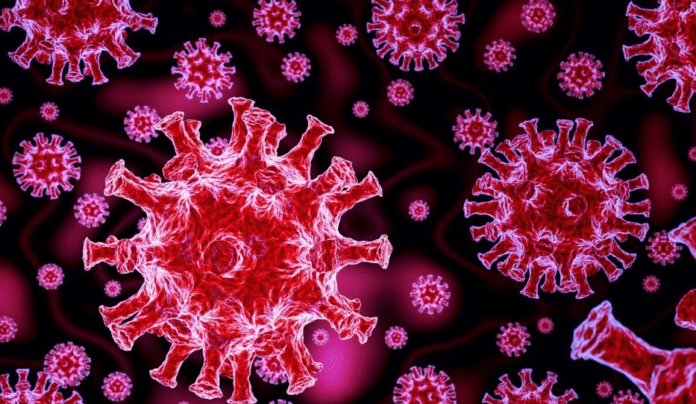 Coronavirus logo Coronavirus