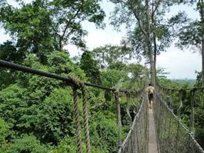 park (Copy) Kakum National Park, Central Region