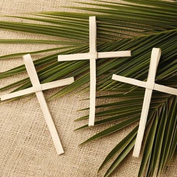 356705528_811485 (Copy) palm sunday