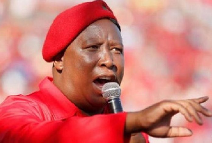 South African politician, Julius Malema South African politician, Julius Malema
