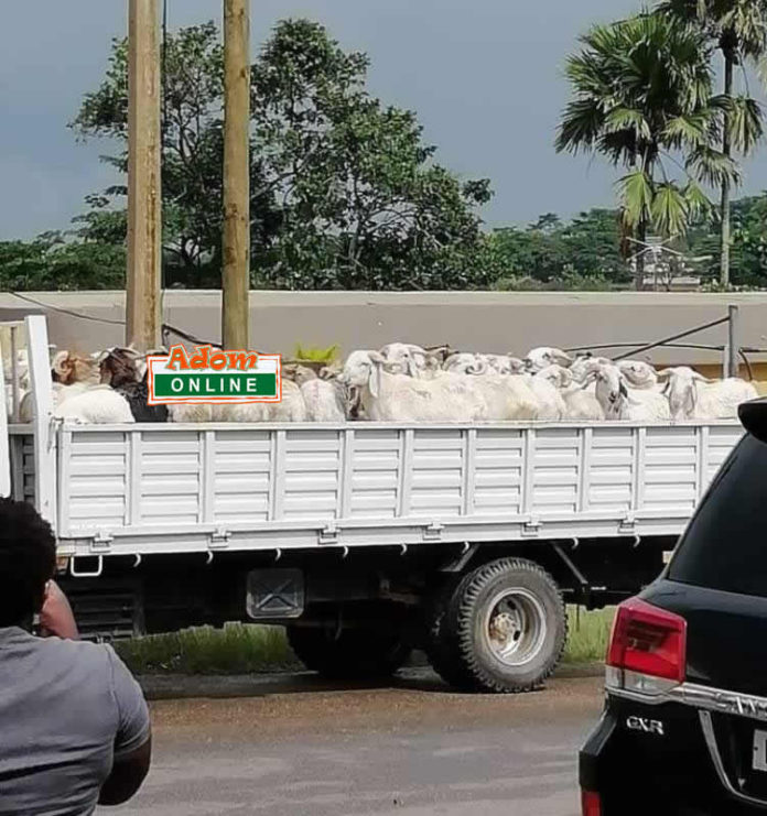 Akuapim 1