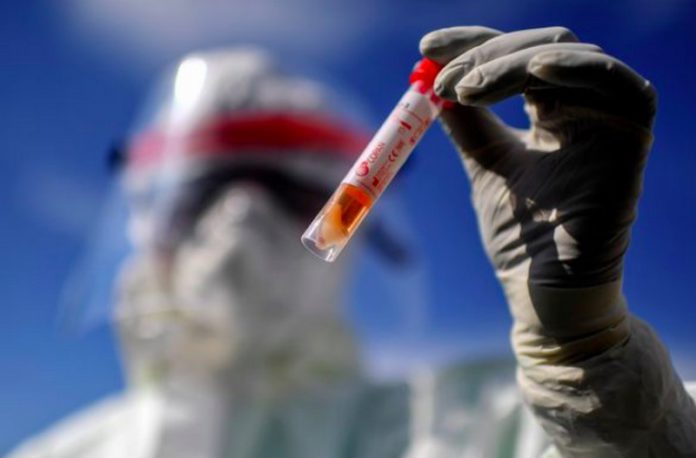 coronavirus coronavirus