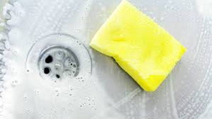 sponge sponge