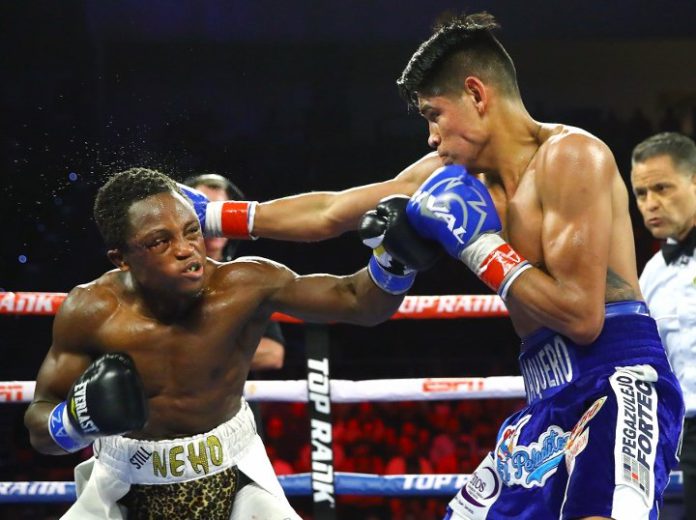 navarrete-dogboe-rematch-9