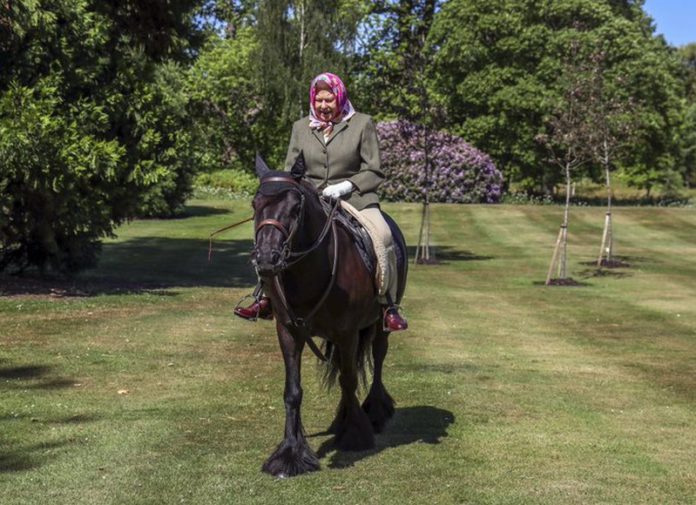 queen elizabeth rides horse queen elizabeth rides horse