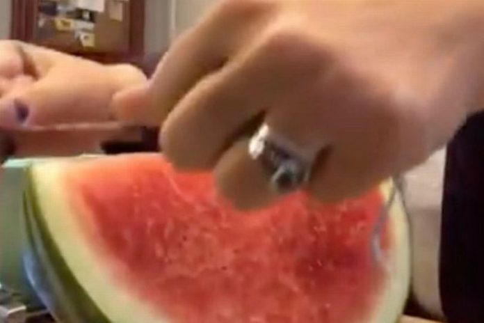 watermelon watermelon