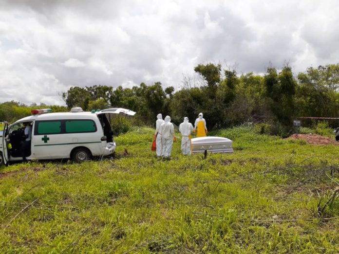 coronavirus coronavirus