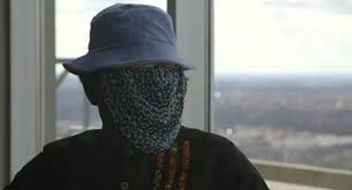 anas anas