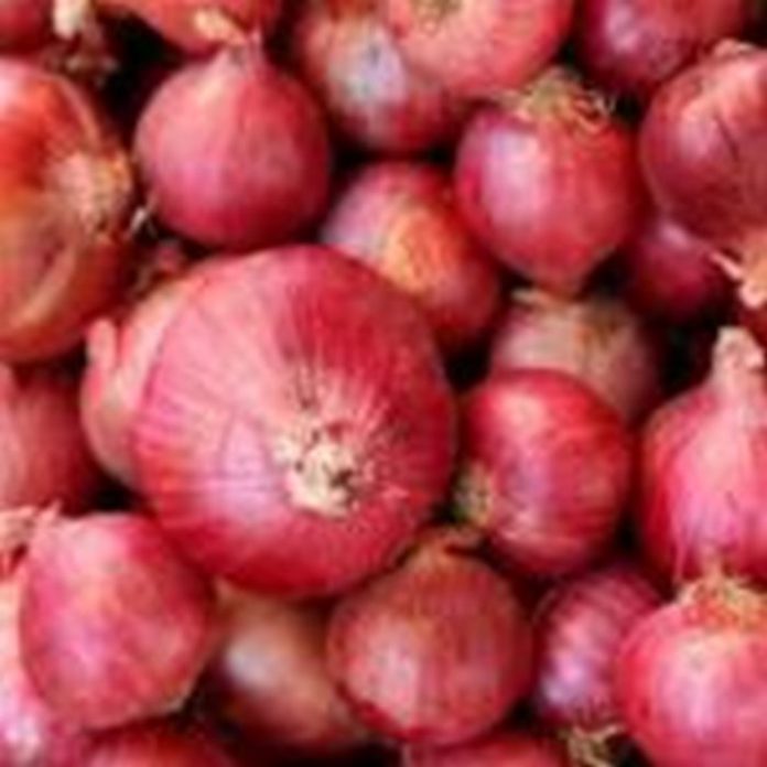 onion-150x150 (Copy)