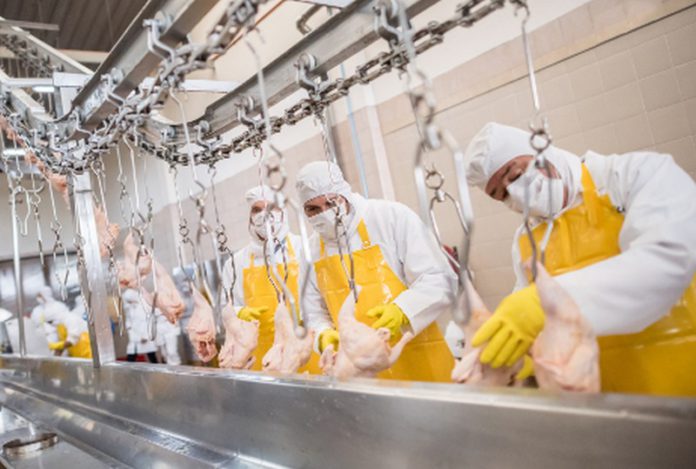 IDIF coronavirus meat factory