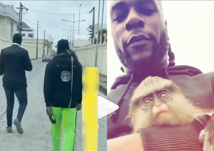 Burna Boy and his monkey Burna Boy and his monkey