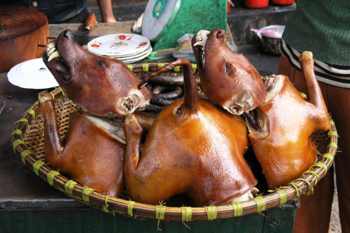 Dog meat