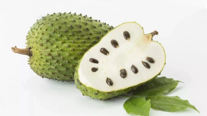Aluguntugui Soursop “Aluguntugui”