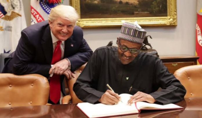 Buhari Trump