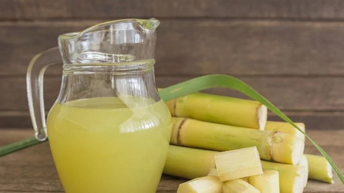 sugarcane sugarcane