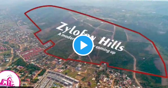 iZallywood City Project Zallywood City Project