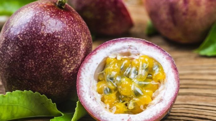 passion fruit passion fruit