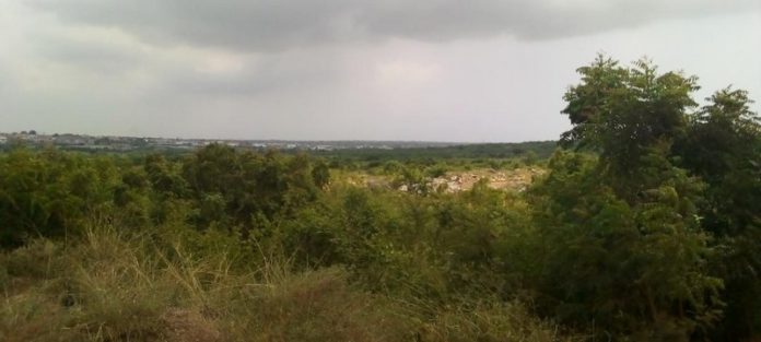 Social-Government-Land-1024x461 (Copy)