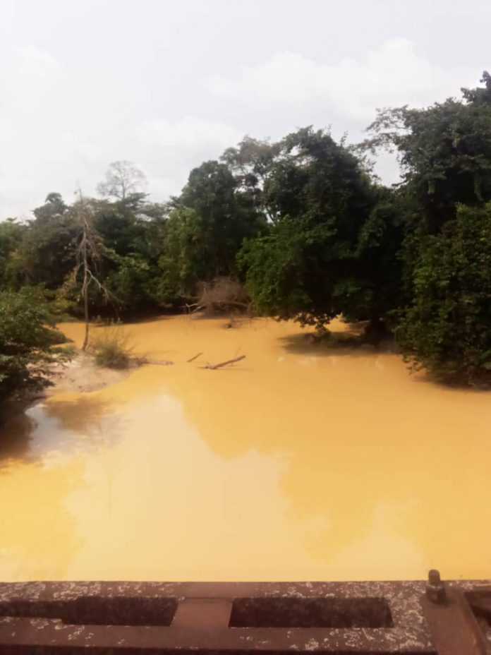 Aowin traditional council evokes curse on 'galamseyers' in the area
