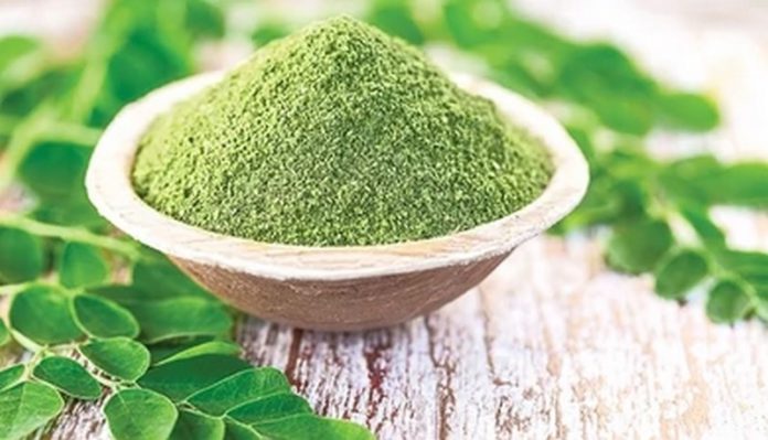 moringa moringa