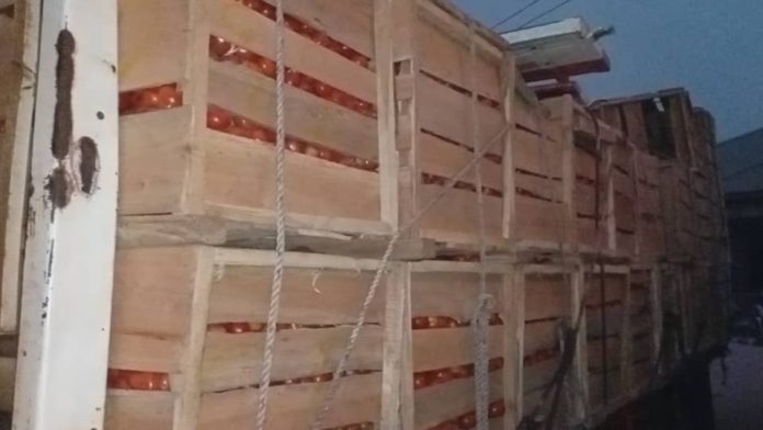 Kintampo traders seize ten trucks of imported tomatoes