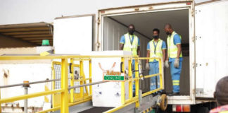 coronavirus vaccines