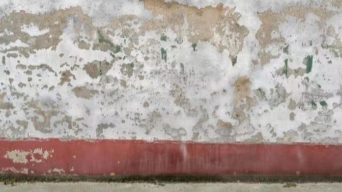MsaTnk4j (Copy) wall