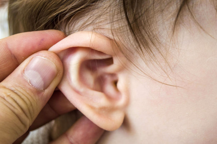 Ear