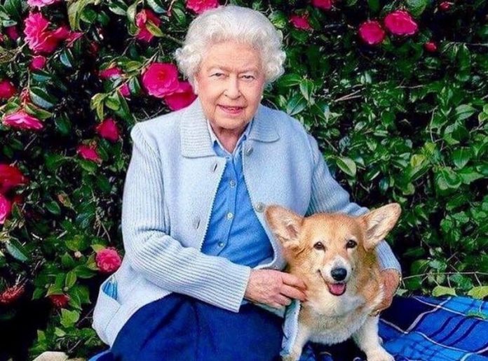 Queen Elizabeth Queen Elizabeth