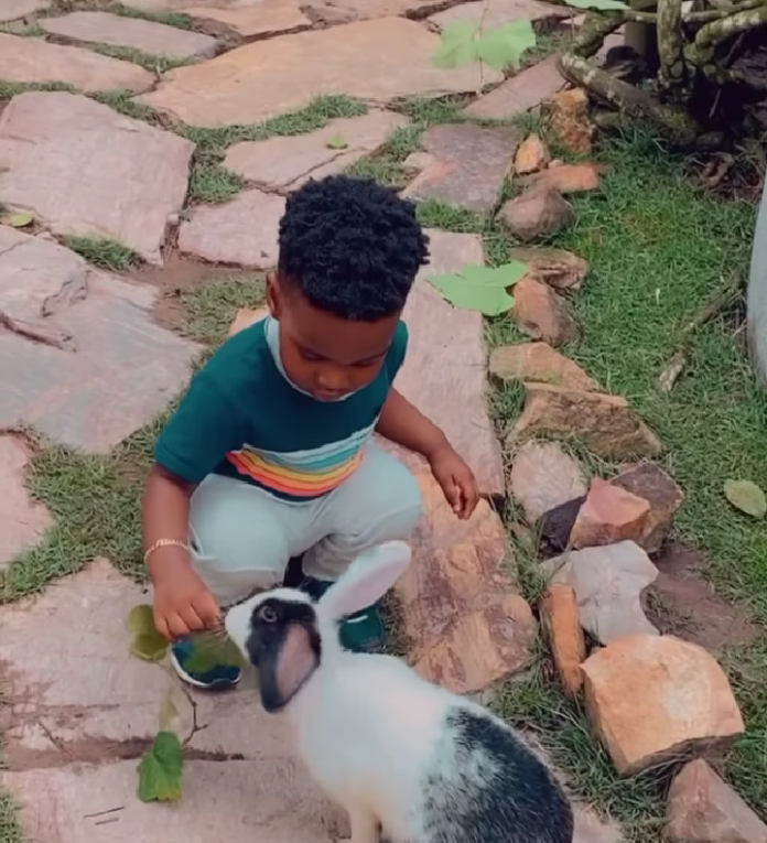 John Dumelo's son