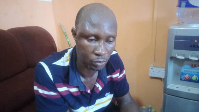 Notorious counterfeit baron arrested