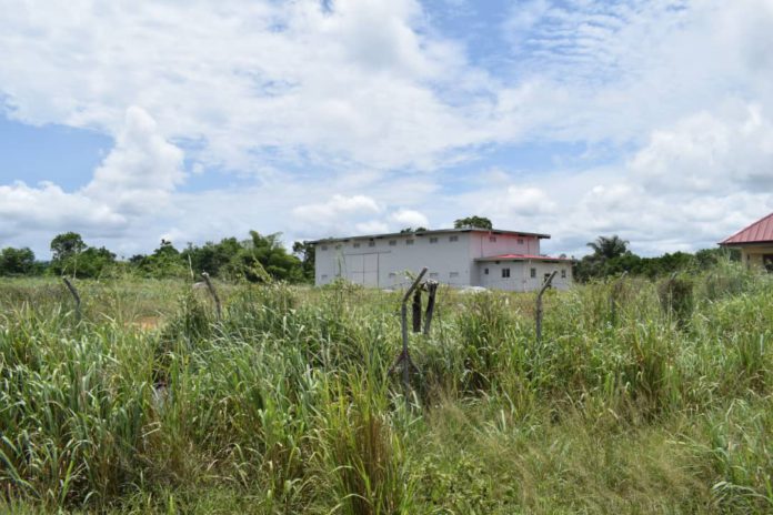 Snakes, weed takes over Sefwi One-District-One Warehouses