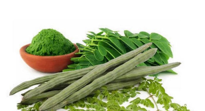 moringa moringa