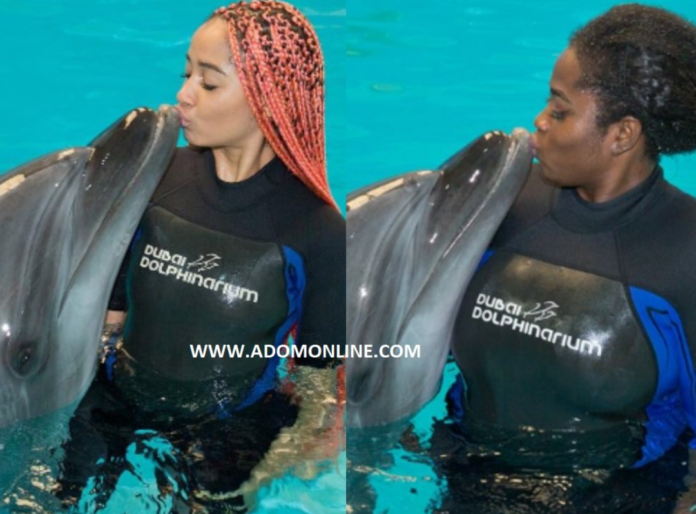 Sister Debbie and Lydia Forson chill with Dolphins in Dubai